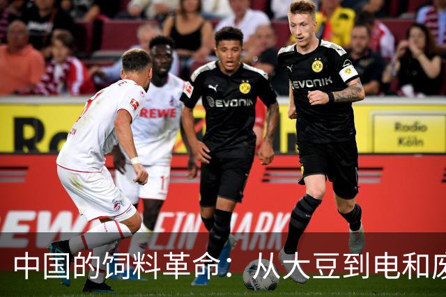 中国的饲料革命：从大豆到电和废气的逆袭！